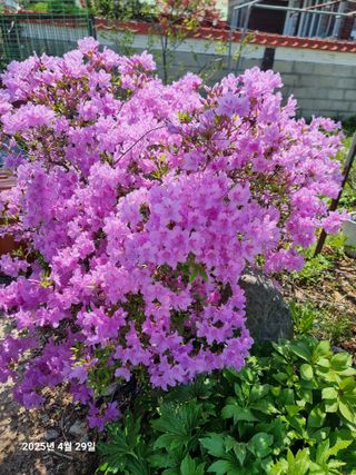 권병☆님의 자유주제 · 자유게시판 작성글 사진