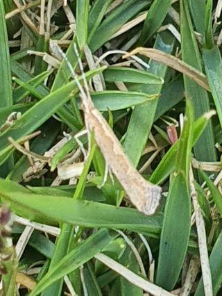 하나라도 소중하게님의 자유주제 · 자유게시판 작성글 사진