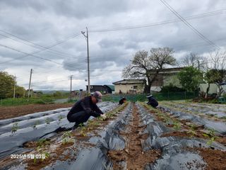 권병☆님의 자유주제 · 자유게시판 작성글 사진