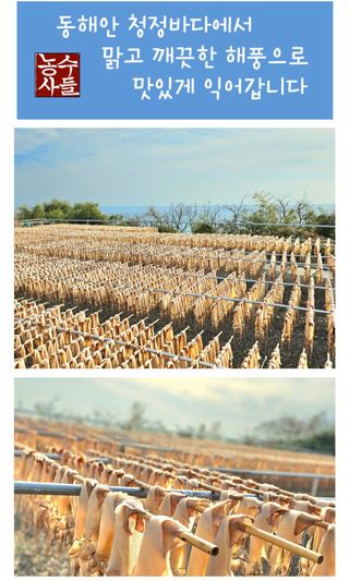 농수사님의 작성글 사진