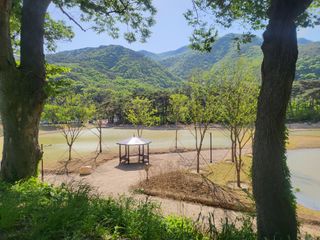 조상희님의 자유주제 · 자유게시판 작성글 사진