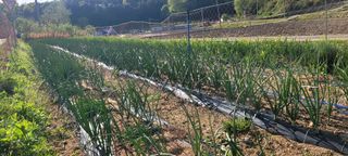 심기섭님의 자유주제 · 자유게시판 작성글 사진