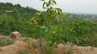 도기백님의 자유주제 · 자유게시판 작성글 사진