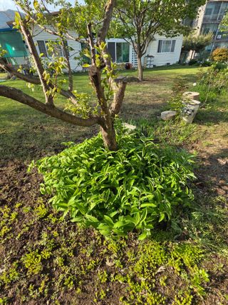 최동수님의 자유주제 · 자유게시판 작성글 사진