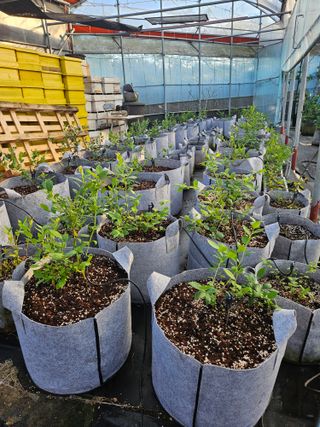 제주 지안이네농장님의 자유주제 · 자유게시판 작성글 사진