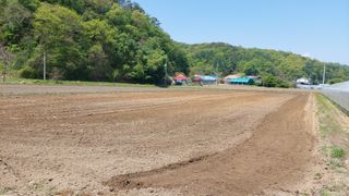 강원도 횡성군님의 자유주제 · 자유게시판 작성글 사진