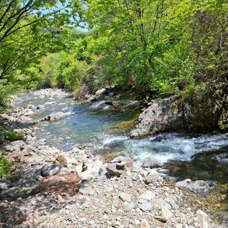 오영도님의 자유주제 · 자유게시판 작성글 사진