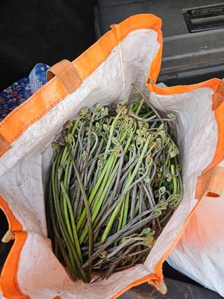 백현득님의 자유주제 · 자유게시판 작성글 사진