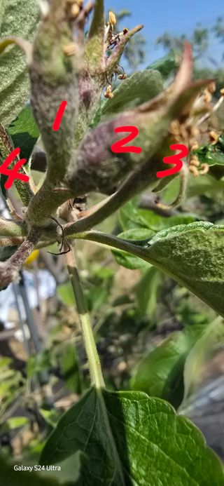 청산님의 자유주제 · 자유게시판 작성글 사진