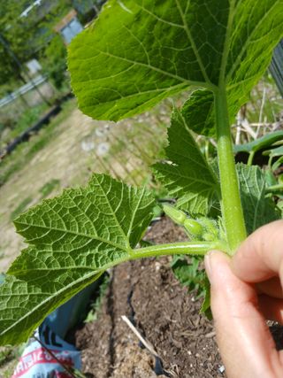 산성골농장님의 자유주제 · 자유게시판 작성글 사진
