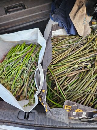 백현득님의 자유주제 · 자유게시판 작성글 사진