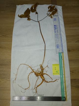 무료지식나눔 팜닥터님의 자유주제 · 자유게시판 작성글 사진