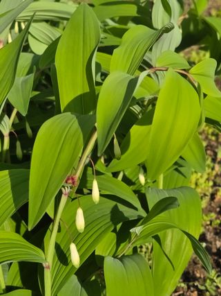 최동수님의 자유주제 · 자유게시판 작성글 사진