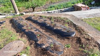 민환기님의 자유주제 · 자유게시판 작성글 사진