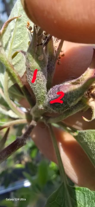 청산님의 자유주제 · 자유게시판 작성글 사진