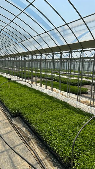 왕코네농장님의 자유주제 · 자유게시판 작성글 사진