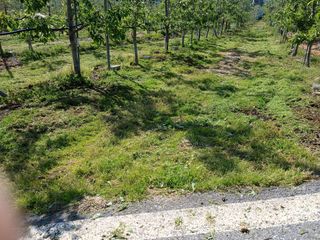 알 수 없음님의 자유주제 · 자유게시판 작성글 사진