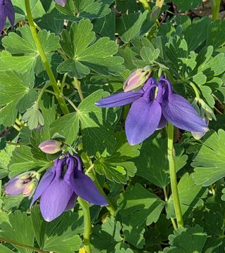 최동수님의 자유주제 · 자유게시판 작성글 사진