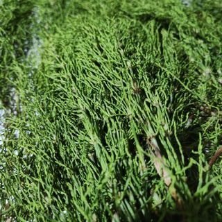 조한솔님의 작성글 사진