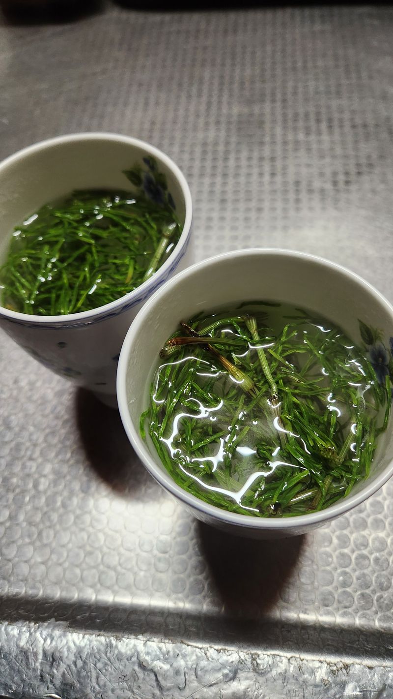 조한솔님의 장터 판매 상품 [명품 건조 쇠뜨기(차용) 200g] 첨부 사진