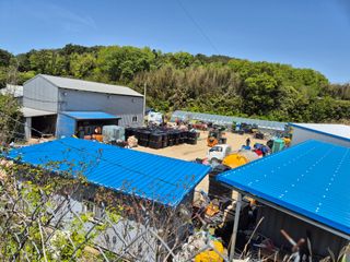 김영진(전남영광)님의 자유주제 · 자유게시판 작성글 사진