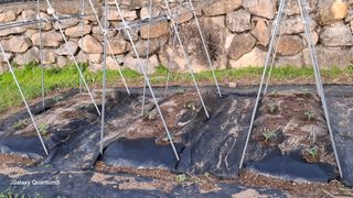 민환기님의 자유주제 · 자유게시판 작성글 사진