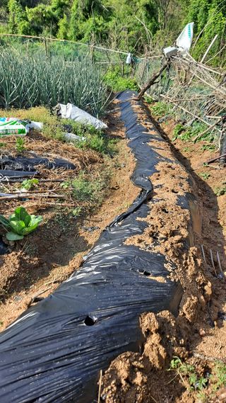 MSG0074님의 자유주제 · 자유게시판 작성글 사진