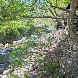 오영도님의 자유주제 · 자유게시판 작성글 사진