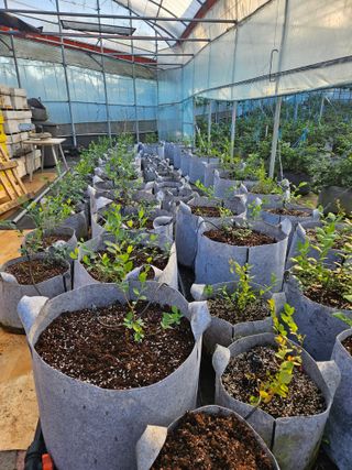 제주 지안이네농장님의 자유주제 · 자유게시판 작성글 사진