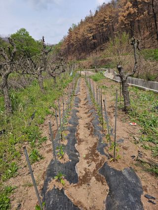 호호할매님의 자유주제 · 자유게시판 작성글 사진