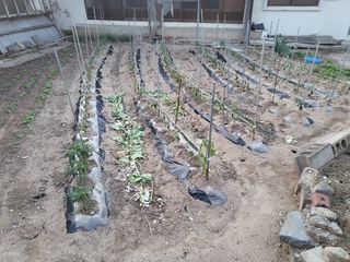 조상희님의 자유주제 · 자유게시판 작성글 사진