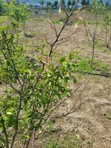 팜모닝 자유주제·자유게시판 게시글 이미지