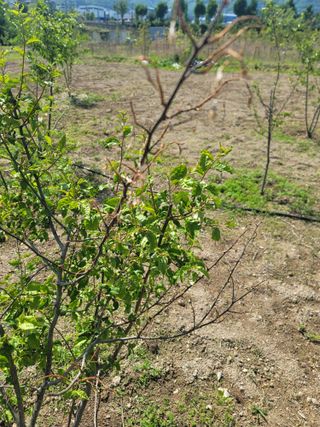 리얼팜님의 자유주제 · 자유게시판 작성글 사진