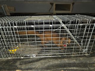 _고성농장님의 자유주제 · 자유게시판 작성글 사진