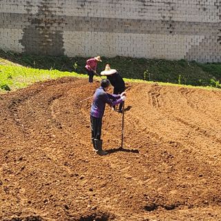 추녹이님의 자유주제 · 자유게시판 작성글 사진