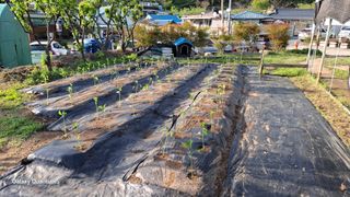 민환기님의 자유주제 · 자유게시판 작성글 사진