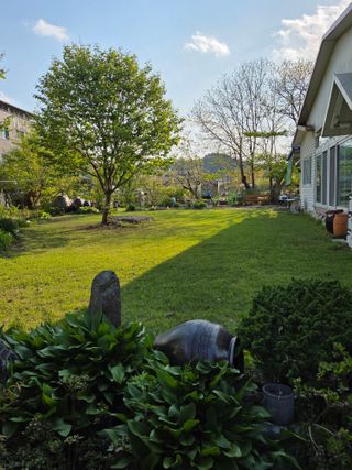 최동수님의 자유주제 · 자유게시판 작성글 사진