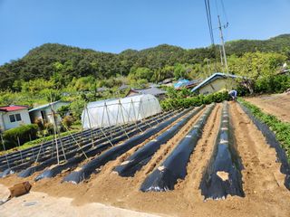 이수석님의 자유주제 · 자유게시판 작성글 사진