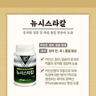 누보농장님의 자유주제 · 자유게시판 작성글 사진