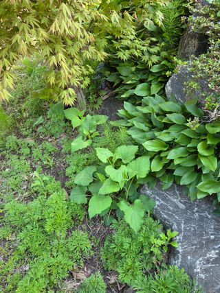 최동수님의 자유주제 · 자유게시판 작성글 사진