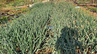 MSG0074님의 자유주제 · 자유게시판 작성글 사진