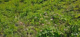 해오름달님의 자유주제 · 자유게시판 작성글 사진