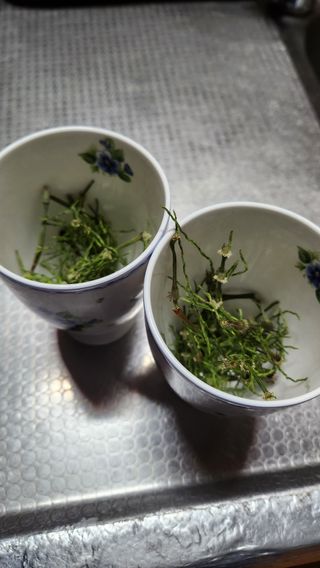 조한솔님의 작성글 사진