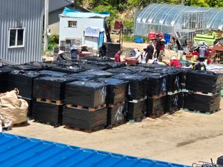 김영진(전남영광)님의 자유주제 · 자유게시판 작성글 사진