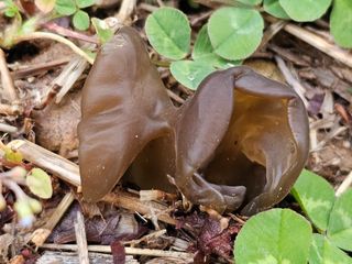 박소원님의 자유주제 · 자유게시판 작성글 사진