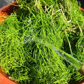 조한솔님의 작성글 사진