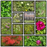 팜모닝 자유주제·자유게시판 게시글 이미지