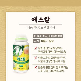 누보농장님의 자유주제 · 자유게시판 작성글 사진