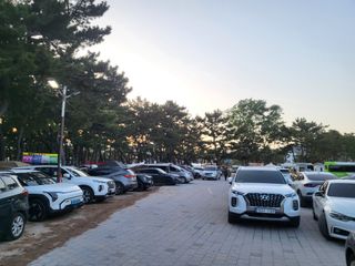 조상희님의 자유주제 · 자유게시판 작성글 사진