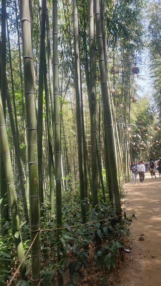 마늘양파참님의 자유주제 · 자유게시판 작성글 사진